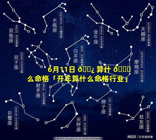 6月11日 🌿 算什 🍀 么命格「开车算什么命格行业」